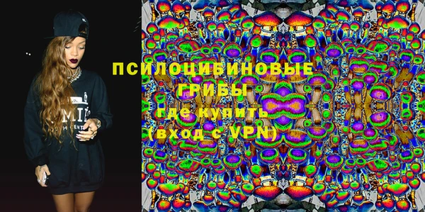 ПСИЛОЦИБИНОВЫЕ ГРИБЫ Верхний Тагил