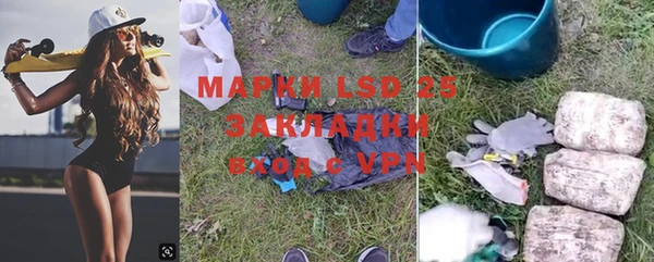 ПСИЛОЦИБИНОВЫЕ ГРИБЫ Верхний Тагил