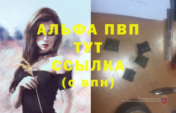ПСИЛОЦИБИНОВЫЕ ГРИБЫ Верхний Тагил